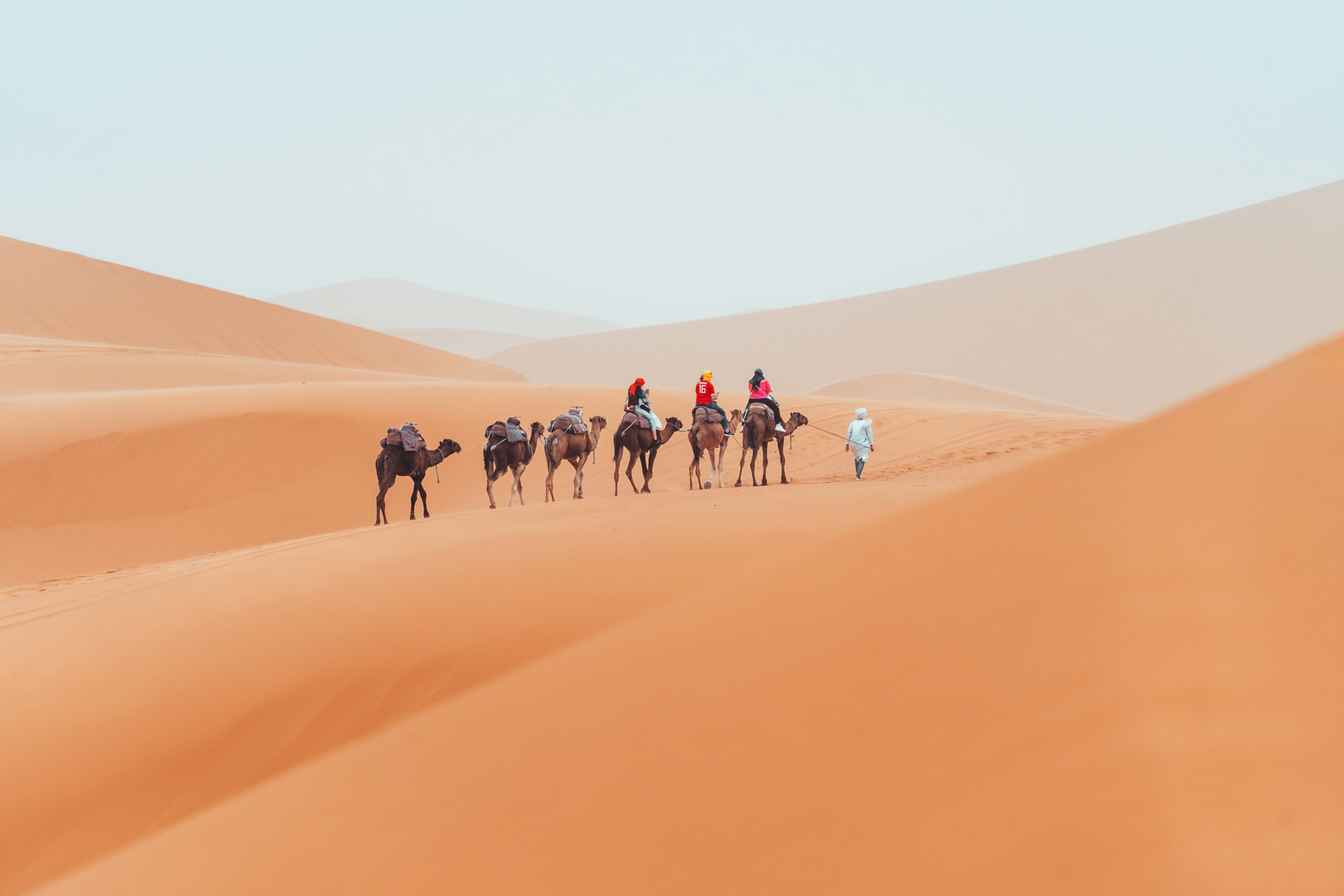 Camel trek with tourists through the sahara desert in Merzouga, Morocco. High quality photo