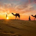 Indian cameleers (camel driver) bedouin with camel silhouettes in sand dunes of Thar desert on sunset. Caravan in Rajasthan travel tourism background safari adventure. Jaisalmer, Rajasthan, India